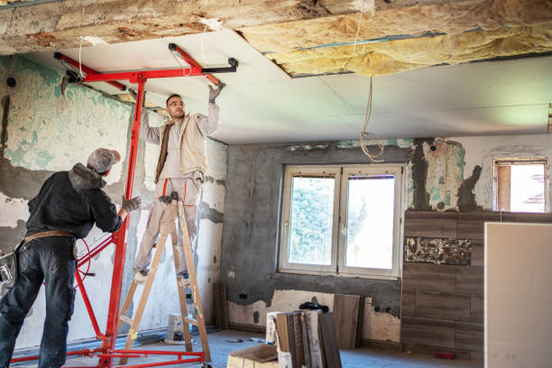 Best Types of Insulation in Litchfield, MI